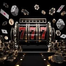 xin77